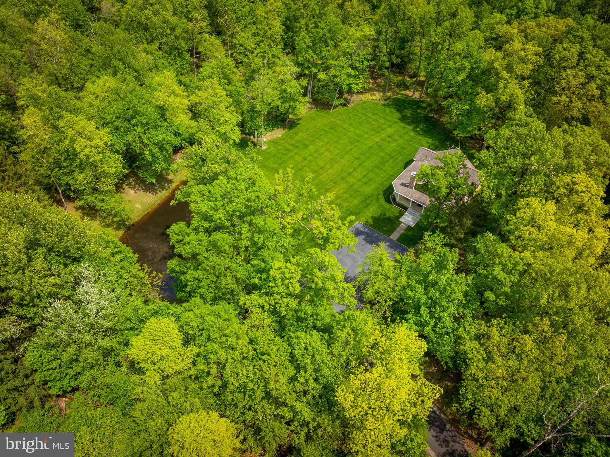 4740 Ford Fields Road Myersville, MD 21773 - Photo 31 of 147 a view of a lush green forest