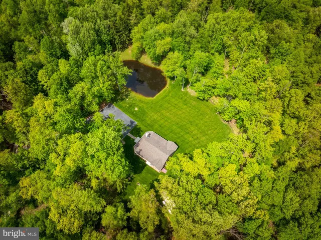 a backyard of a house with lots of green space and tree