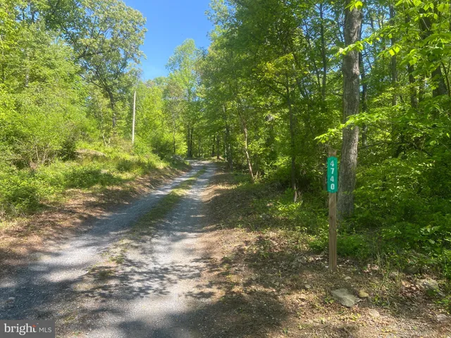 a view of outdoor space and trees