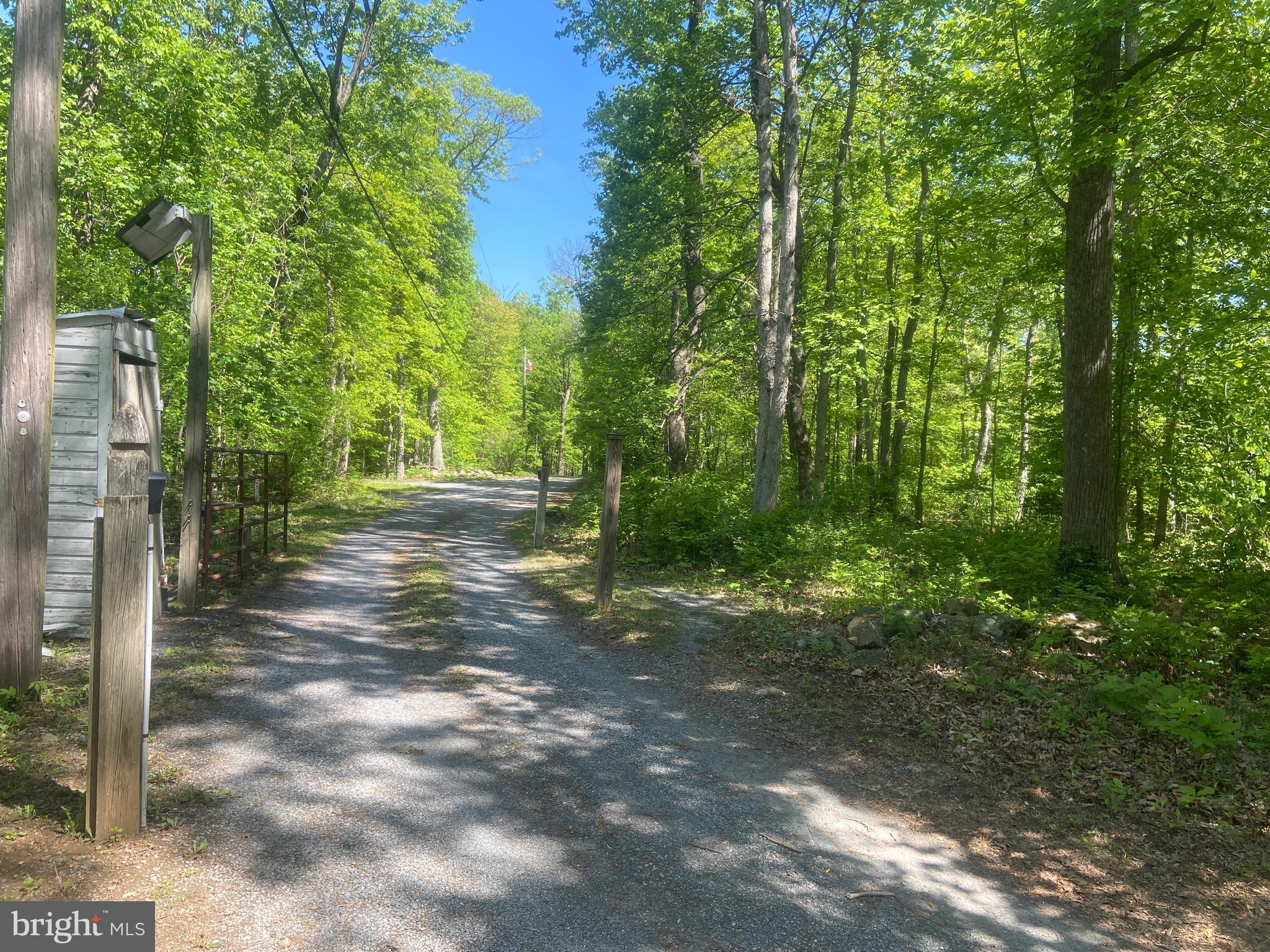 4740 Ford Fields Road Myersville, MD 21773 - Photo 39 of 147 a view of outdoor space and trees