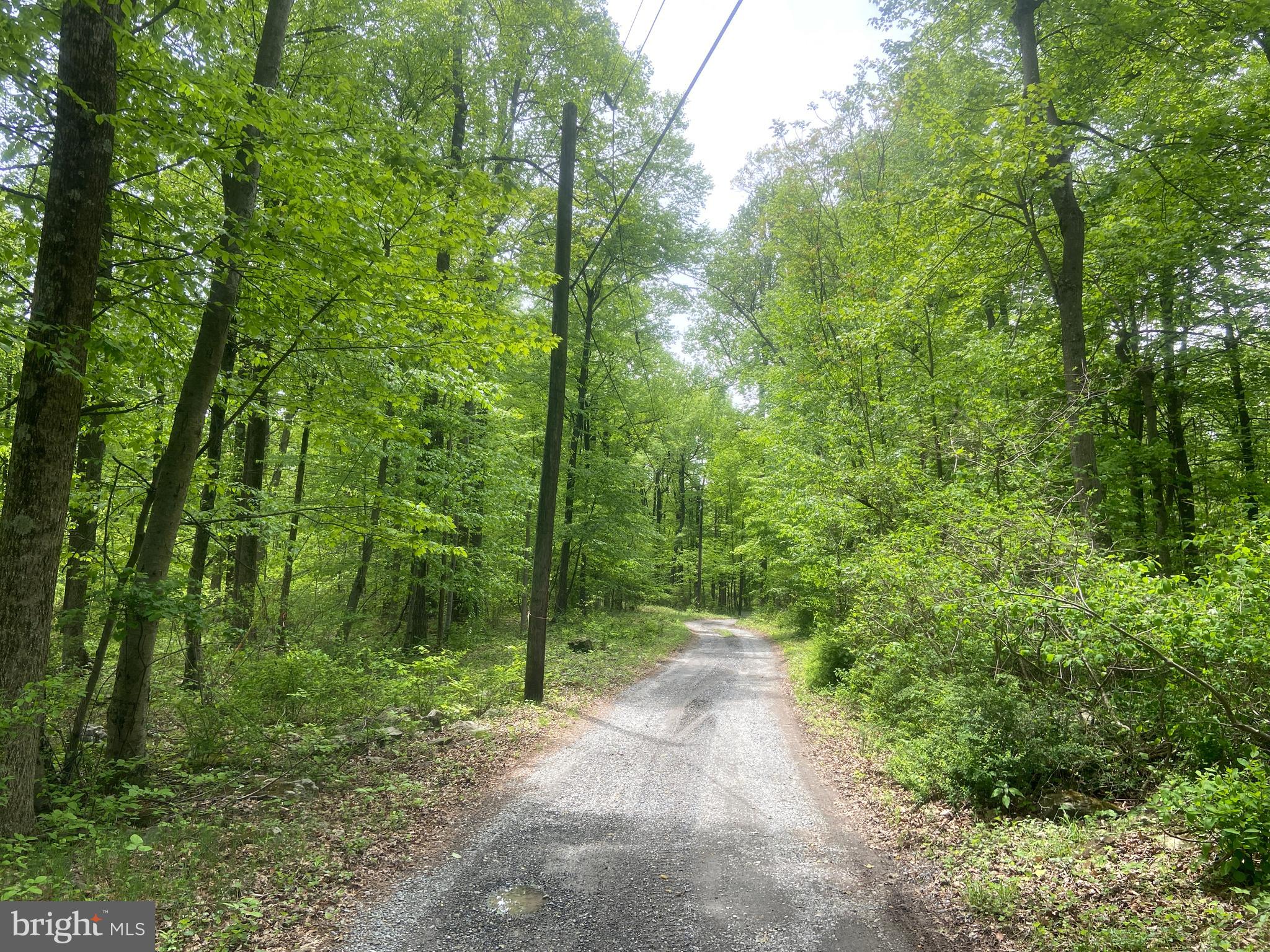 4740 Ford Fields Road Myersville, MD 21773 - Photo 44 of 147