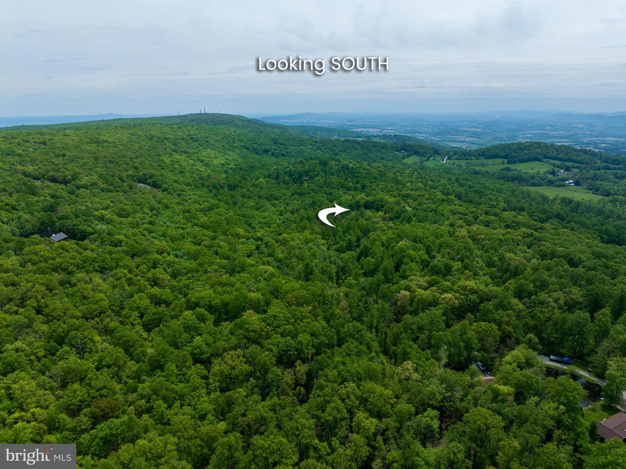 4740 Ford Fields Road Myersville, MD 21773 - Photo 5 of 147 a view of a big yard with grass and plants