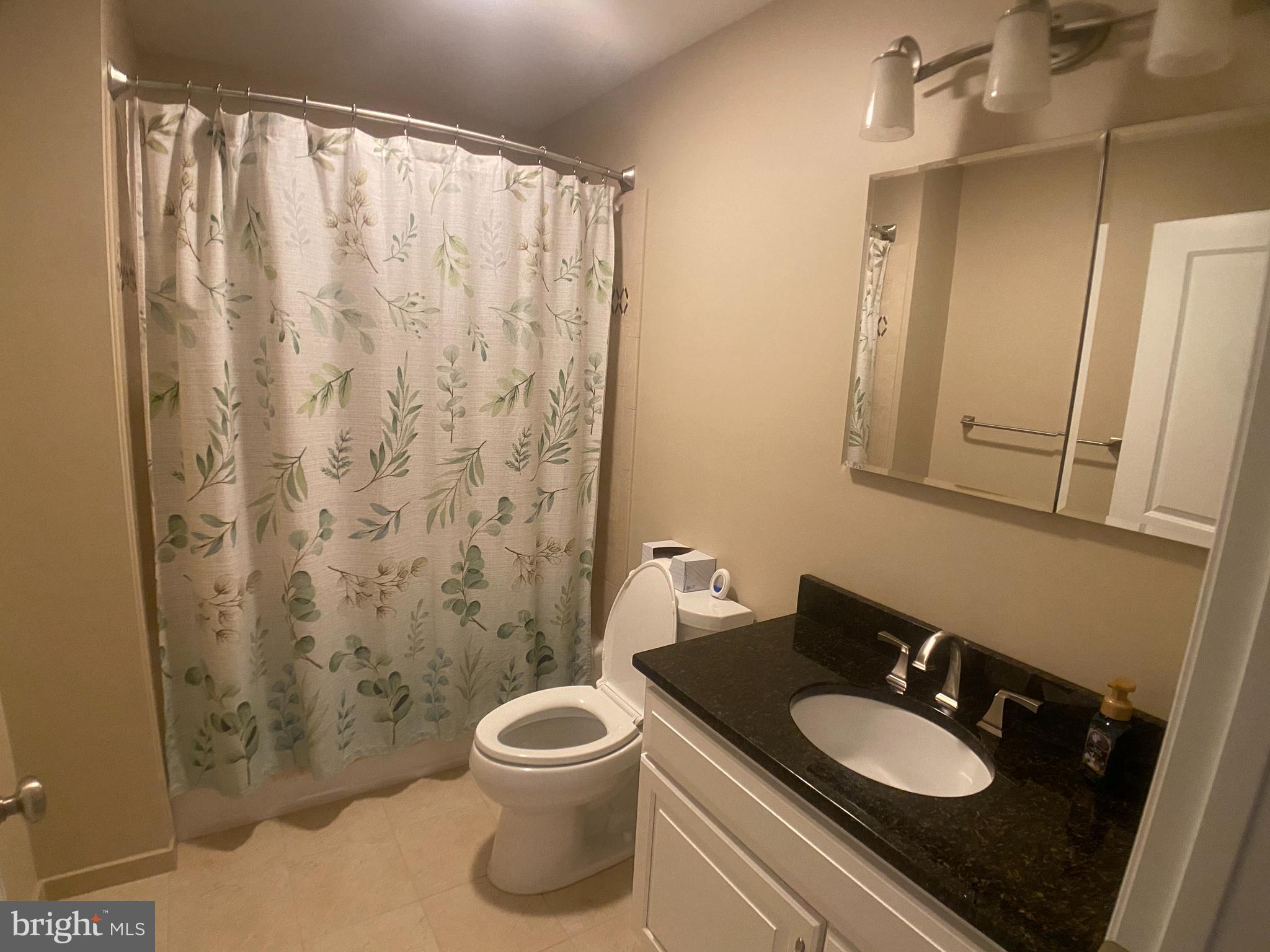 4740 Ford Fields Road Myersville, MD 21773 - Photo 70 of 147 Main Floor Bathroom