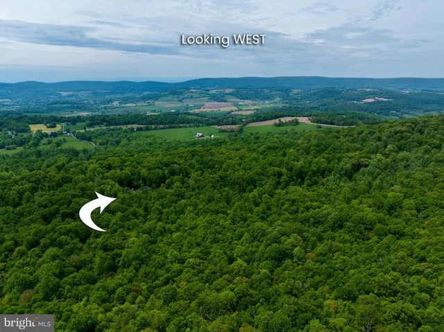 view of a house with a yard