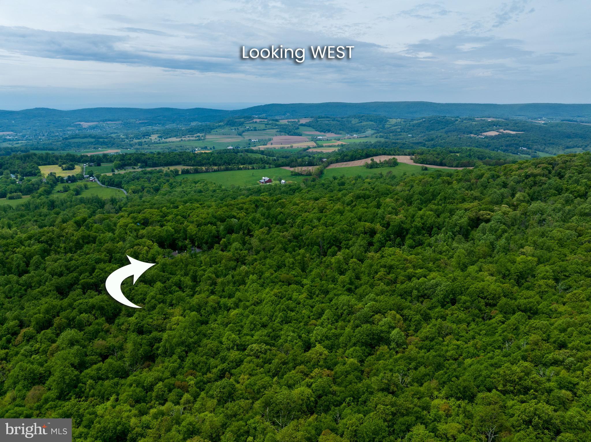 4740 Ford Fields Road Myersville, MD 21773 - Photo 7 of 147