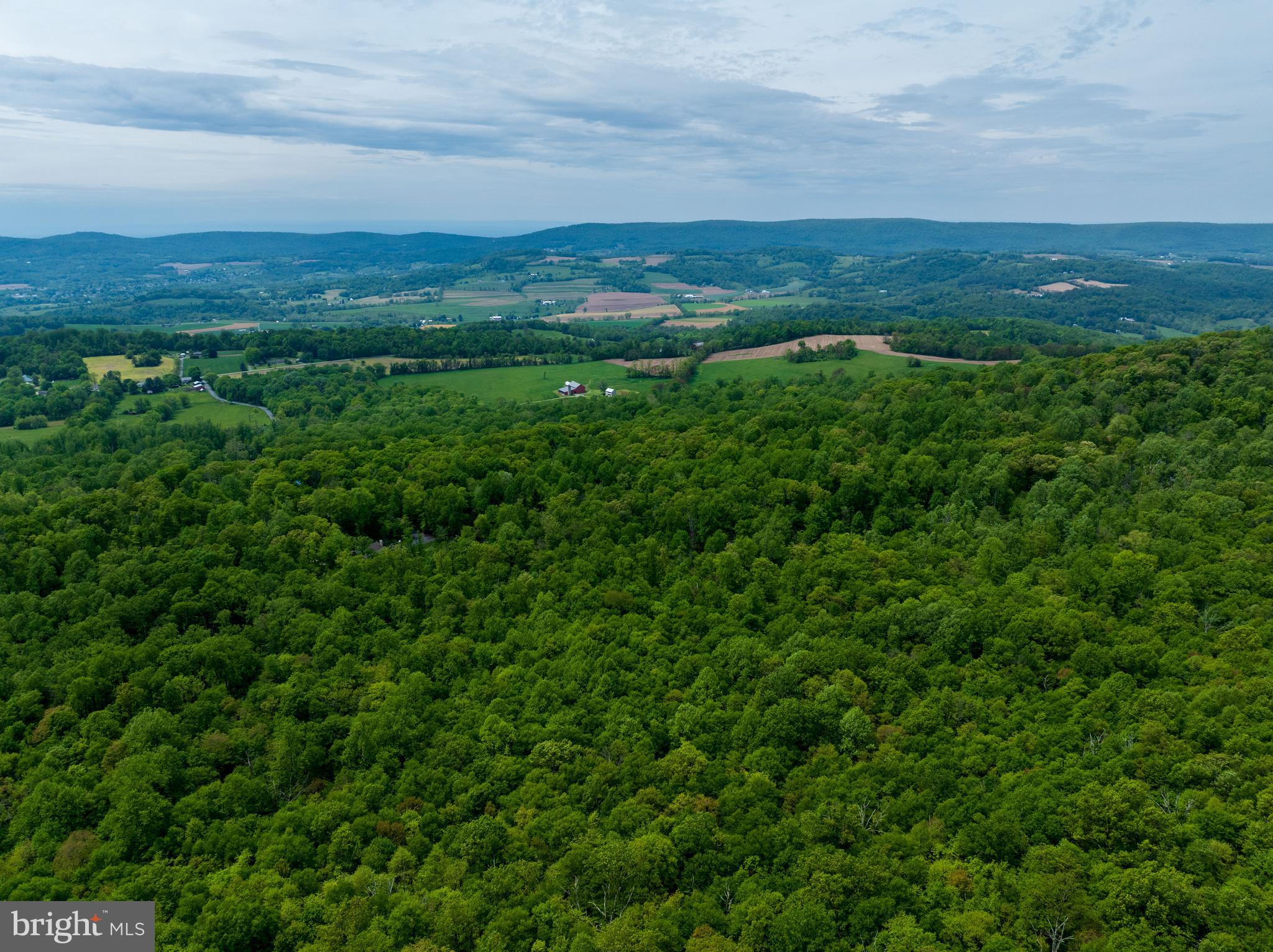 4740 Ford Fields Road Myersville, MD 21773 - Photo 8 of 147 a view of a city with lush green forest