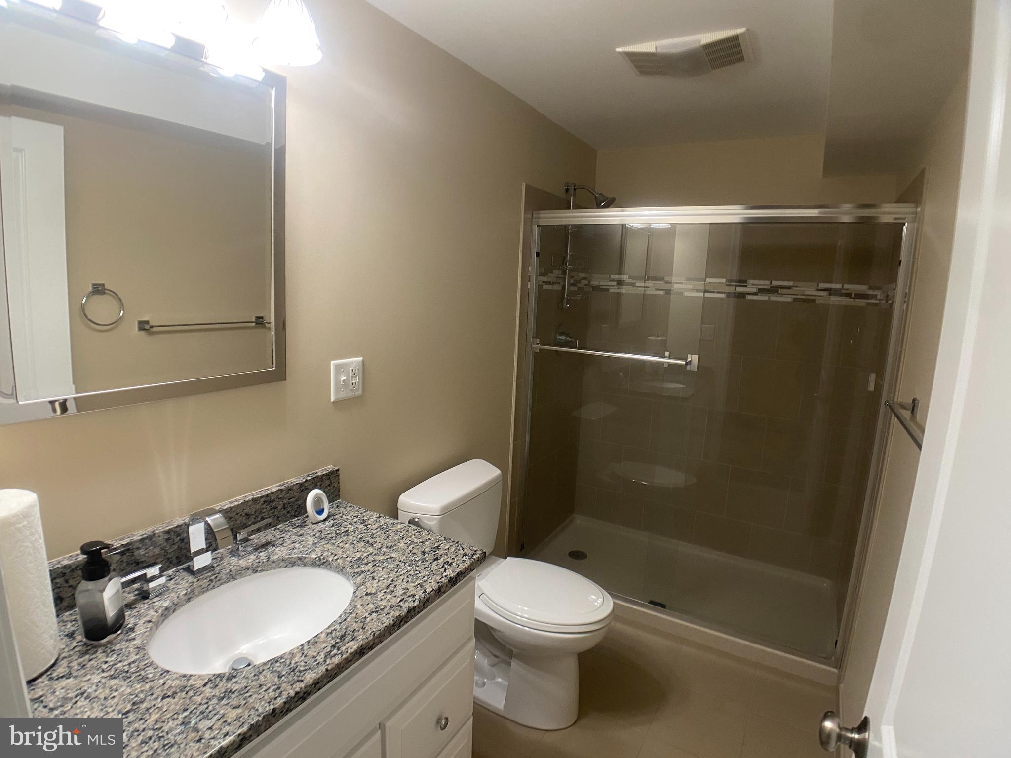4740 Ford Fields Road Myersville, MD 21773 - Photo 81 of 147 Lower Level Bathroom