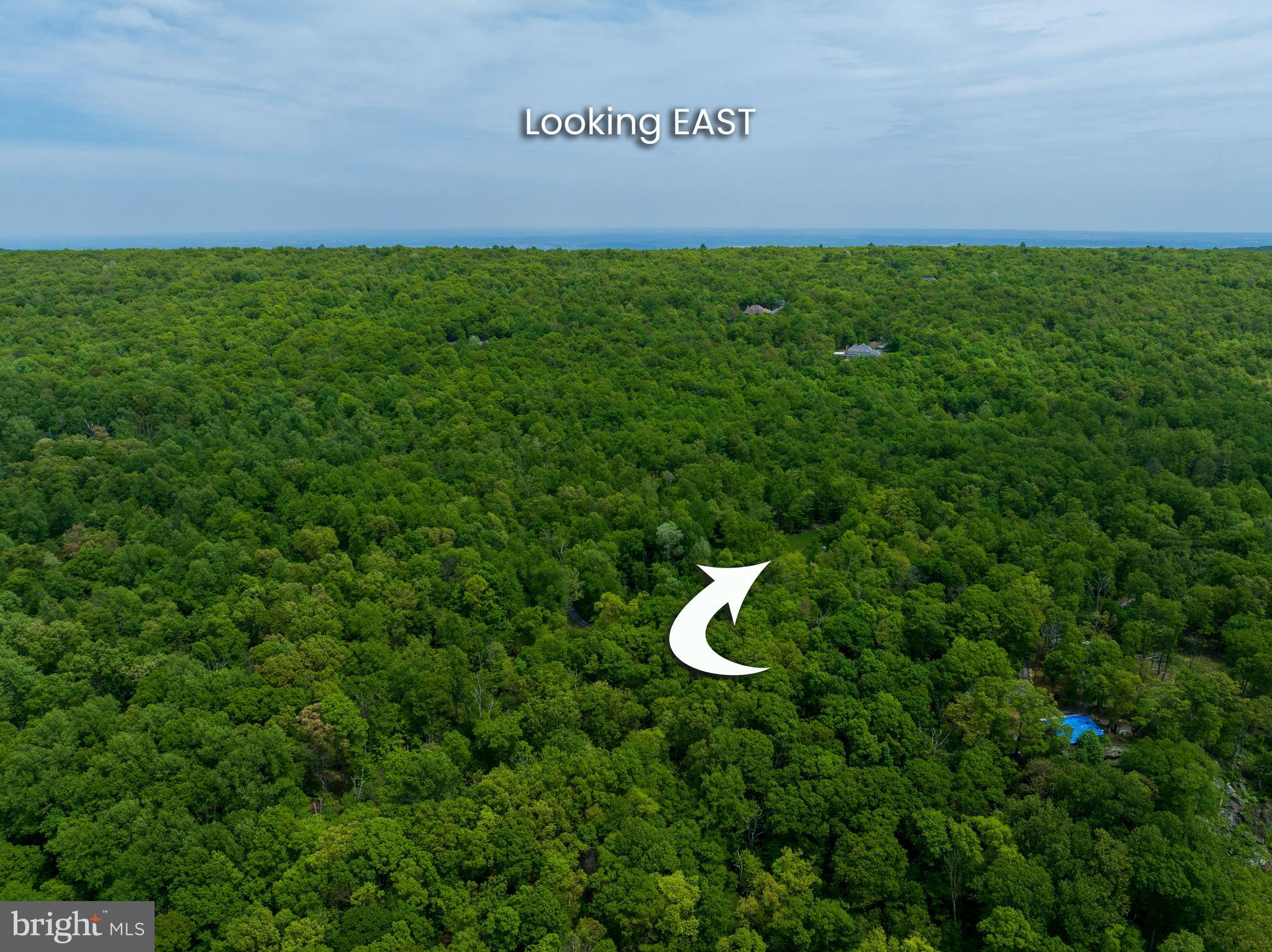 4740 Ford Fields Road Myersville, MD 21773 - Photo 9 of 147