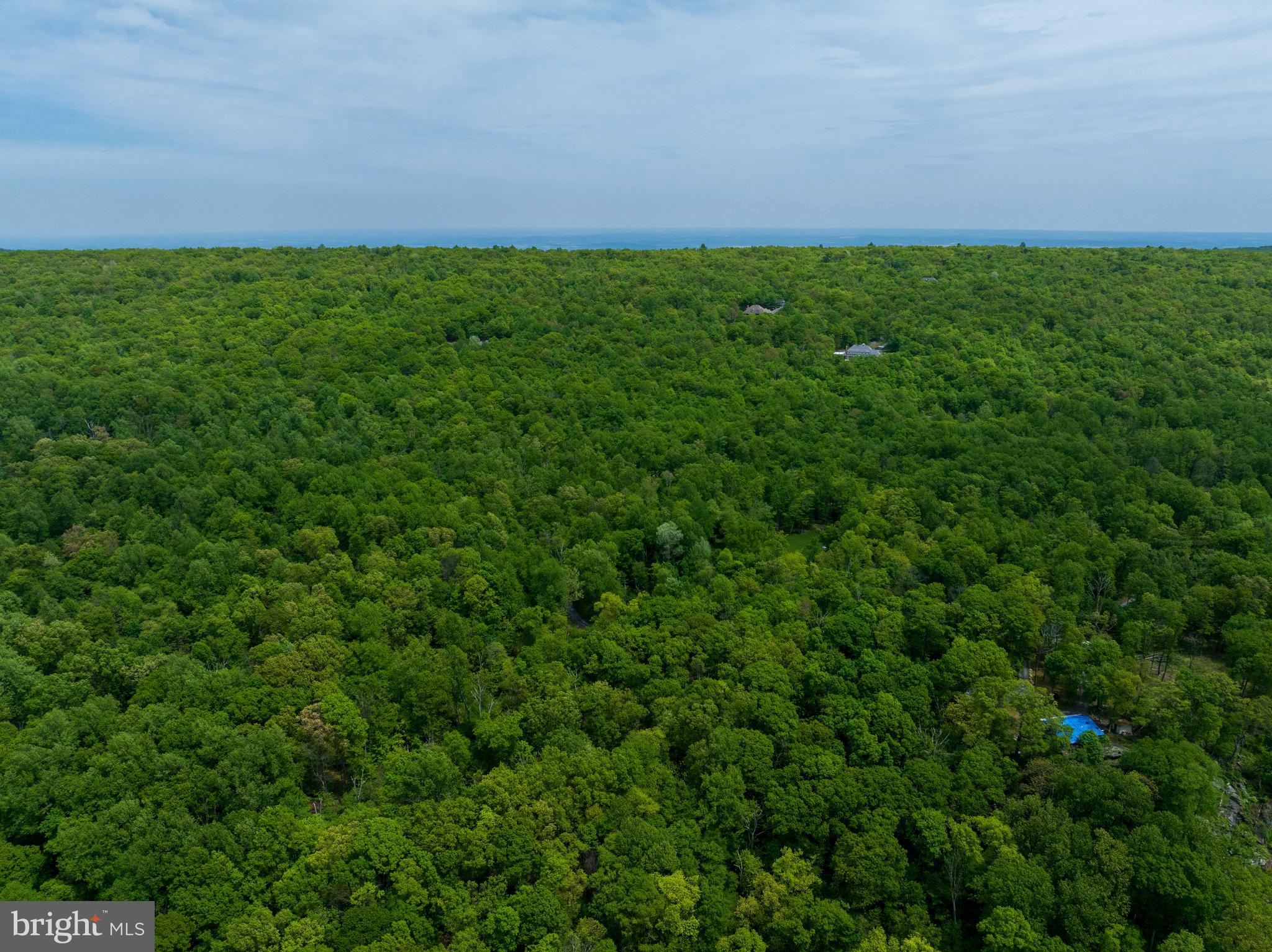 4740 Ford Fields Road Myersville, MD 21773 - Photo 10 of 147 a view of an outdoor space and a yard