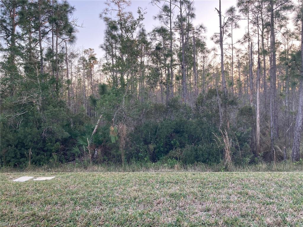21334 Bella Terra Boulevard Estero, FL 33928 - Photo 4 of 30 a view of a yard