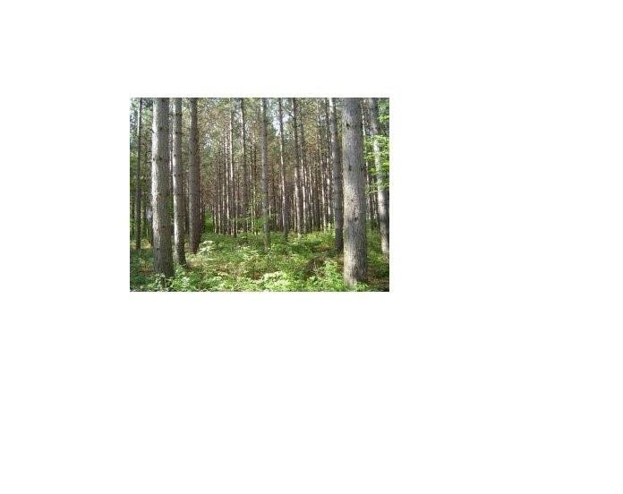 Pine Ridge Trail, Unit 12 Abrams, WI 54101 - Photo 11 of 12 Gallery Image 11