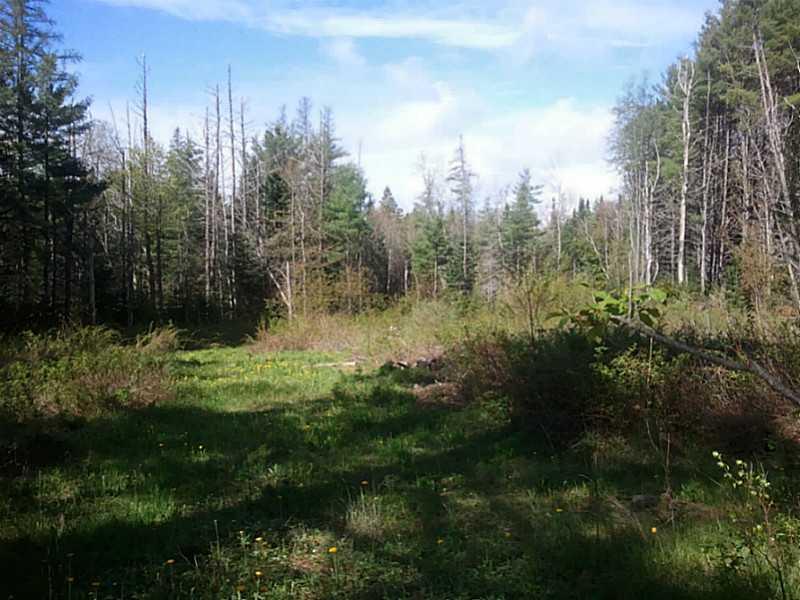 Land/Lot.