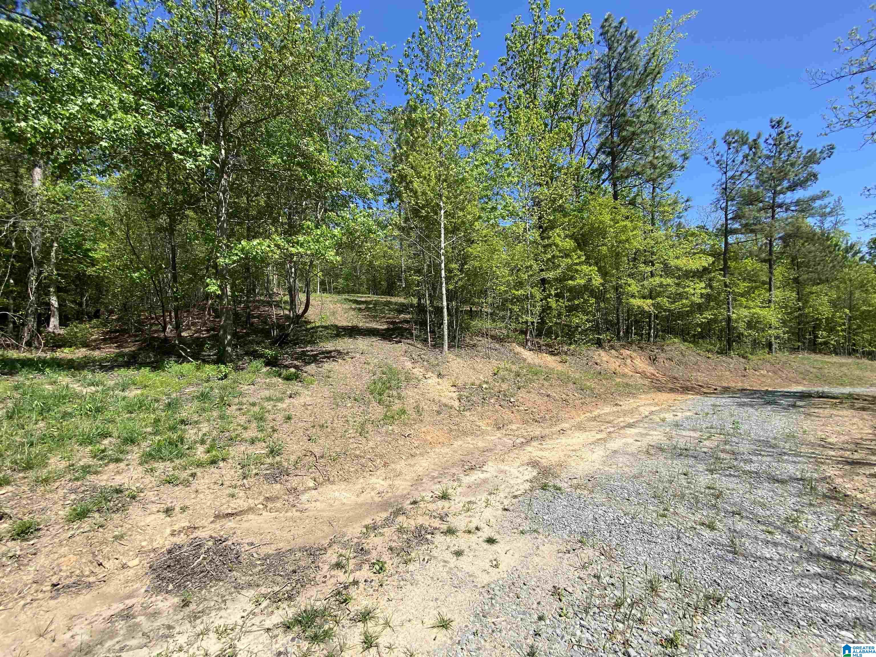 8346 Serene Lake Road McCalla, AL 35111 - Photo 17 of 24