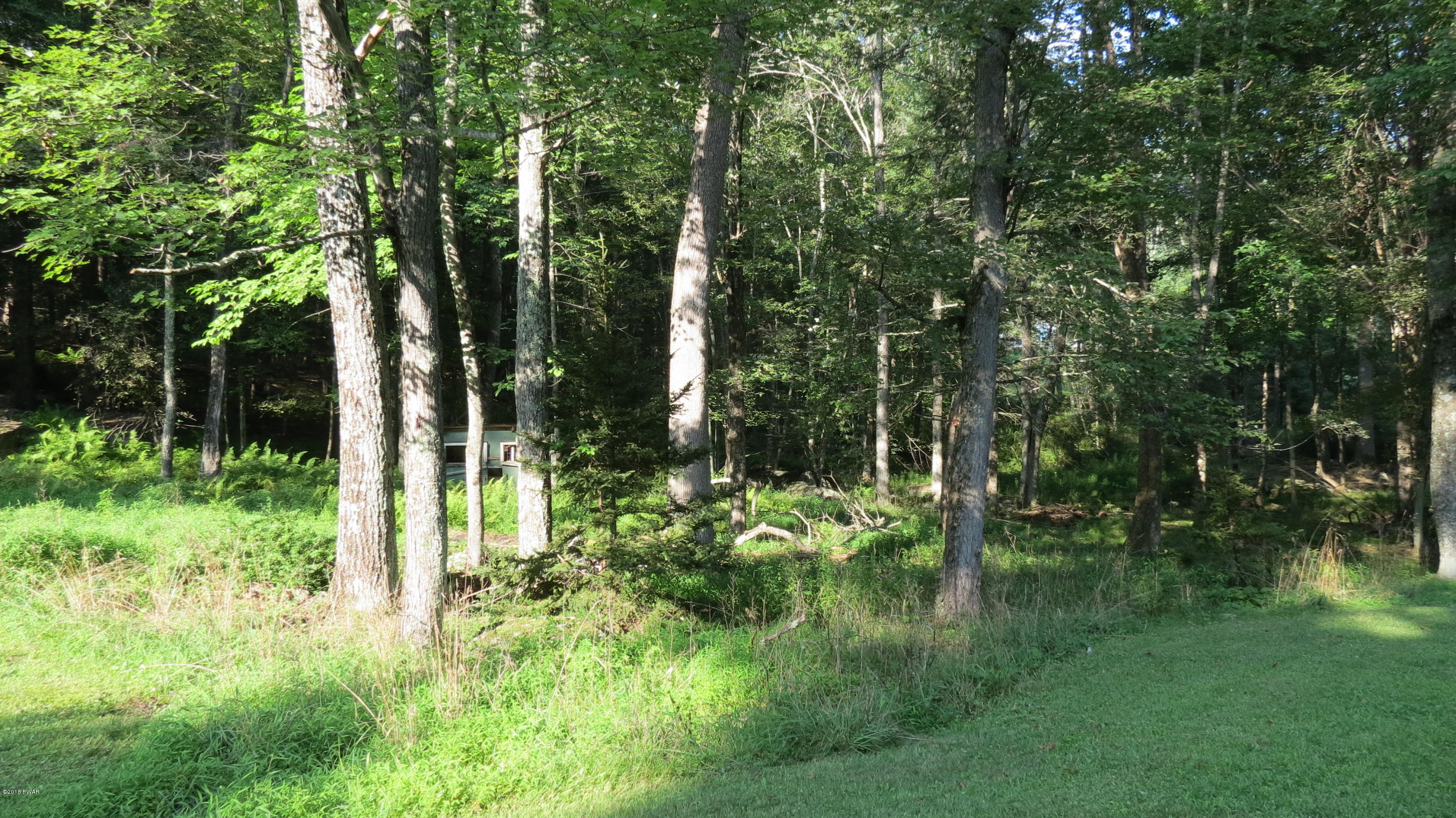 58 Mitchell Pond E Road Cochecton, NY 12726 - Photo 17 of 18