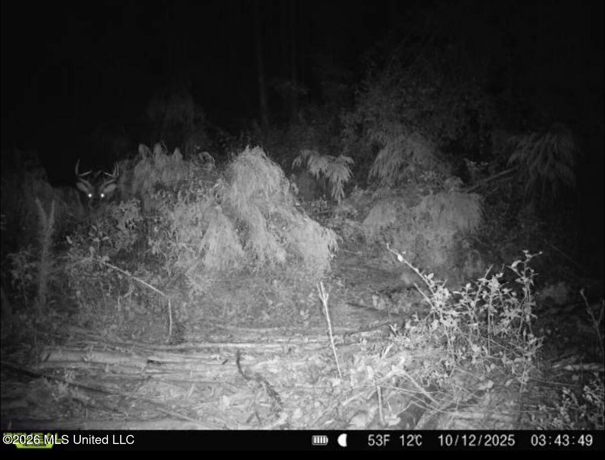 Northwest Union Road Southeast Brookhaven, MS 39601 - Photo 3 of 10 Photo Jun 28 2026, 4 08 06 PM