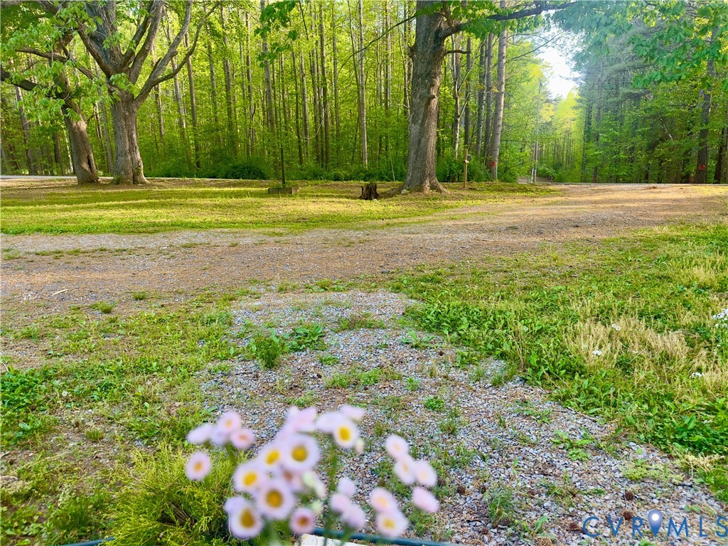 3829 Five Forks Road Pamplin, VA 23958 - Photo 22 of 63 Gallery Image 22