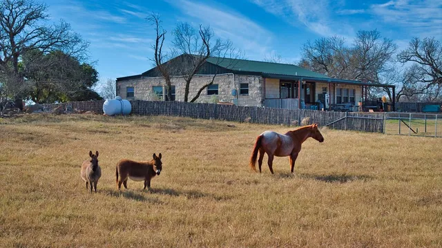 a view of a lake with mountain