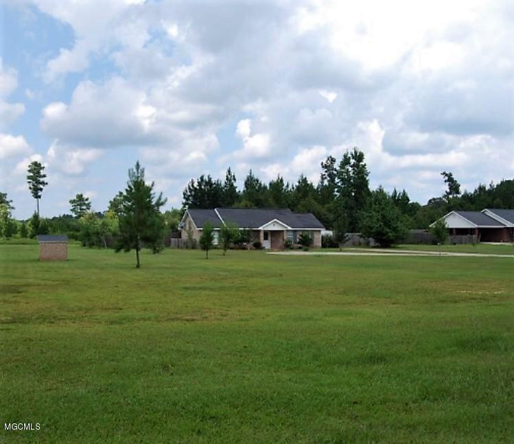 651 Big 4 Road Wiggins, MS 39577 - Photo 24 of 25 IMG_0115 (2)