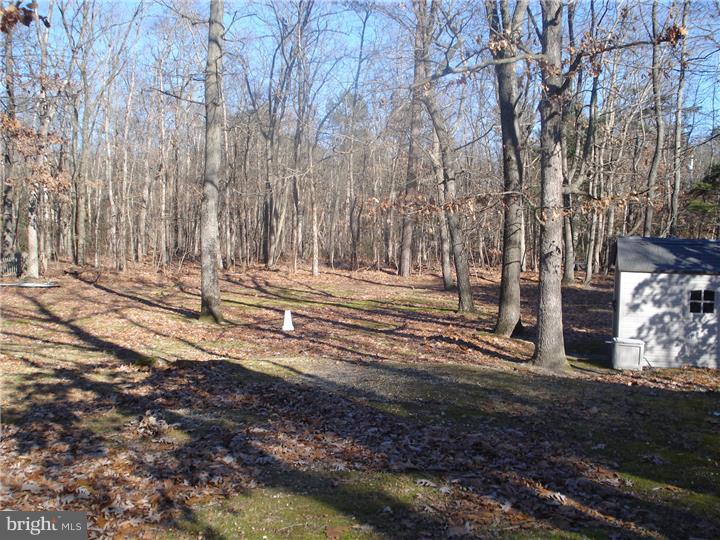 1046 New Brooklyn Road Sicklerville, NJ 08081 - Photo 4 of 11