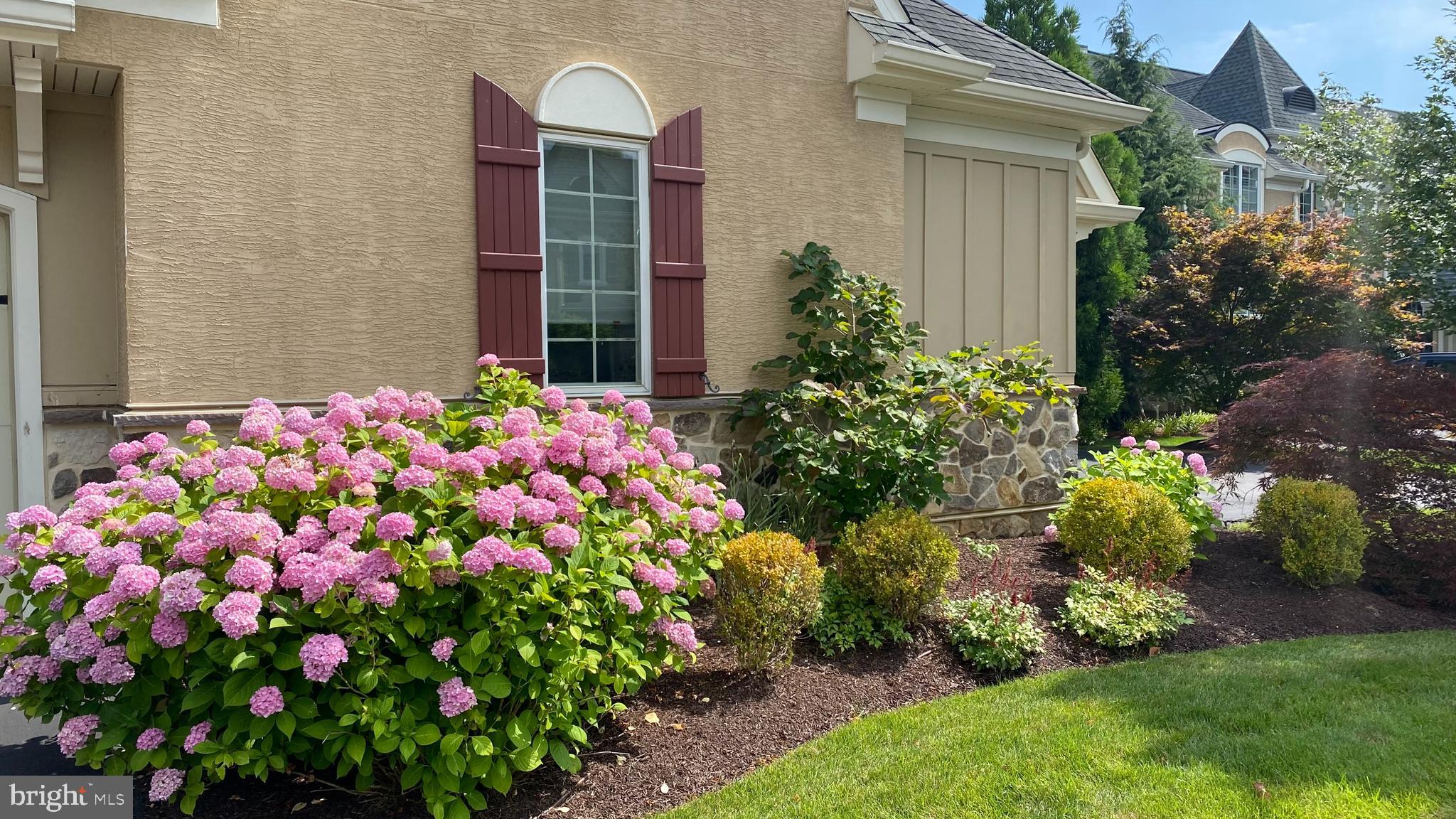 206 Valley Ridge Road Haverford, PA 19041 - Photo 48 of 48 a flower plants in front of yellow house
