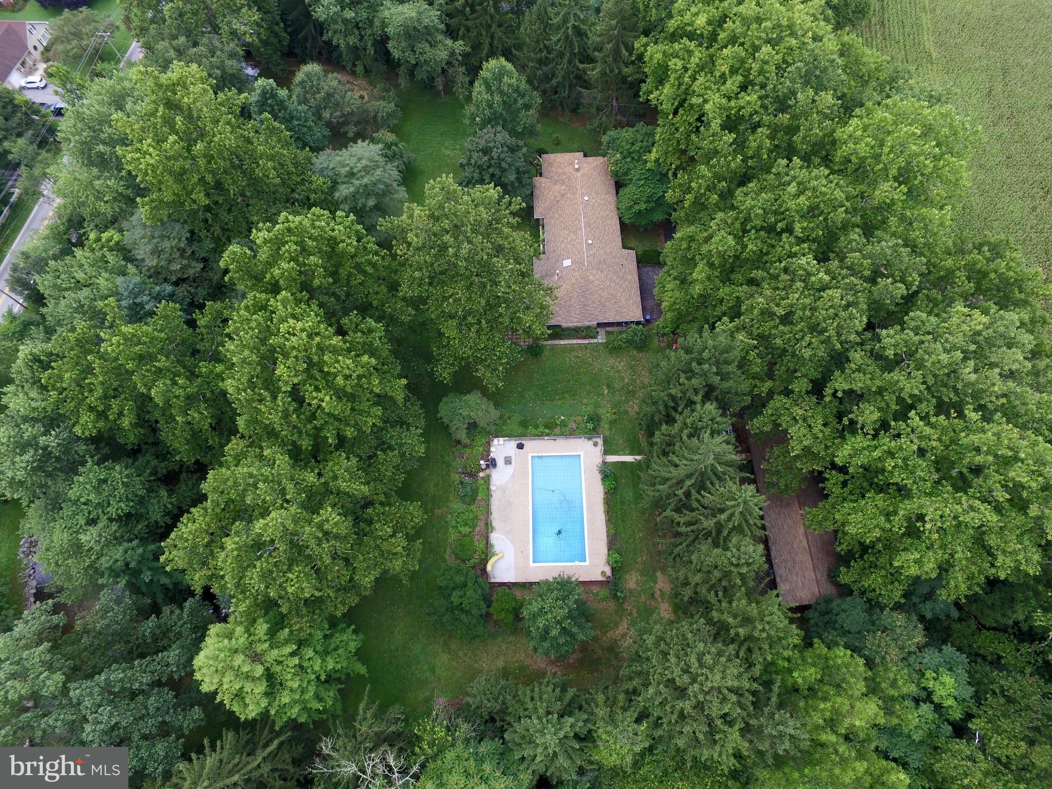 320 Pine Road Carlisle, PA 17015 - Photo 14 of 95 Privacy plus!