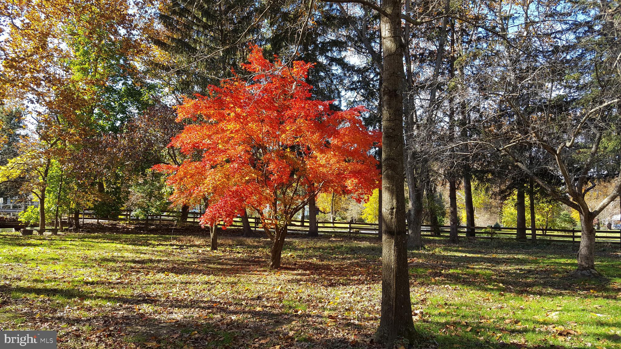 320 Pine Road Carlisle, PA 17015 - Photo 4 of 95