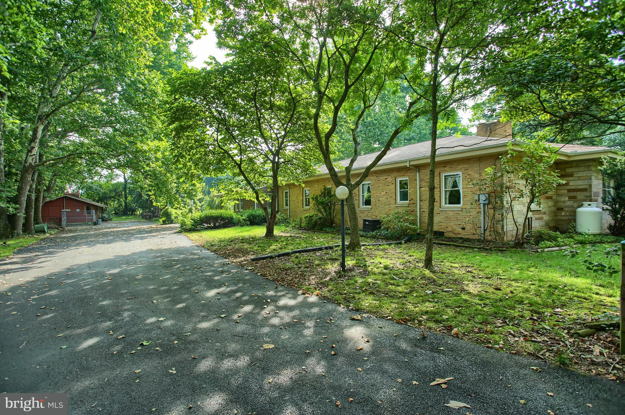 320 Pine Road Carlisle, PA 17015 - Photo 56 of 95 Beautiful drive into the home - lots of driveway +