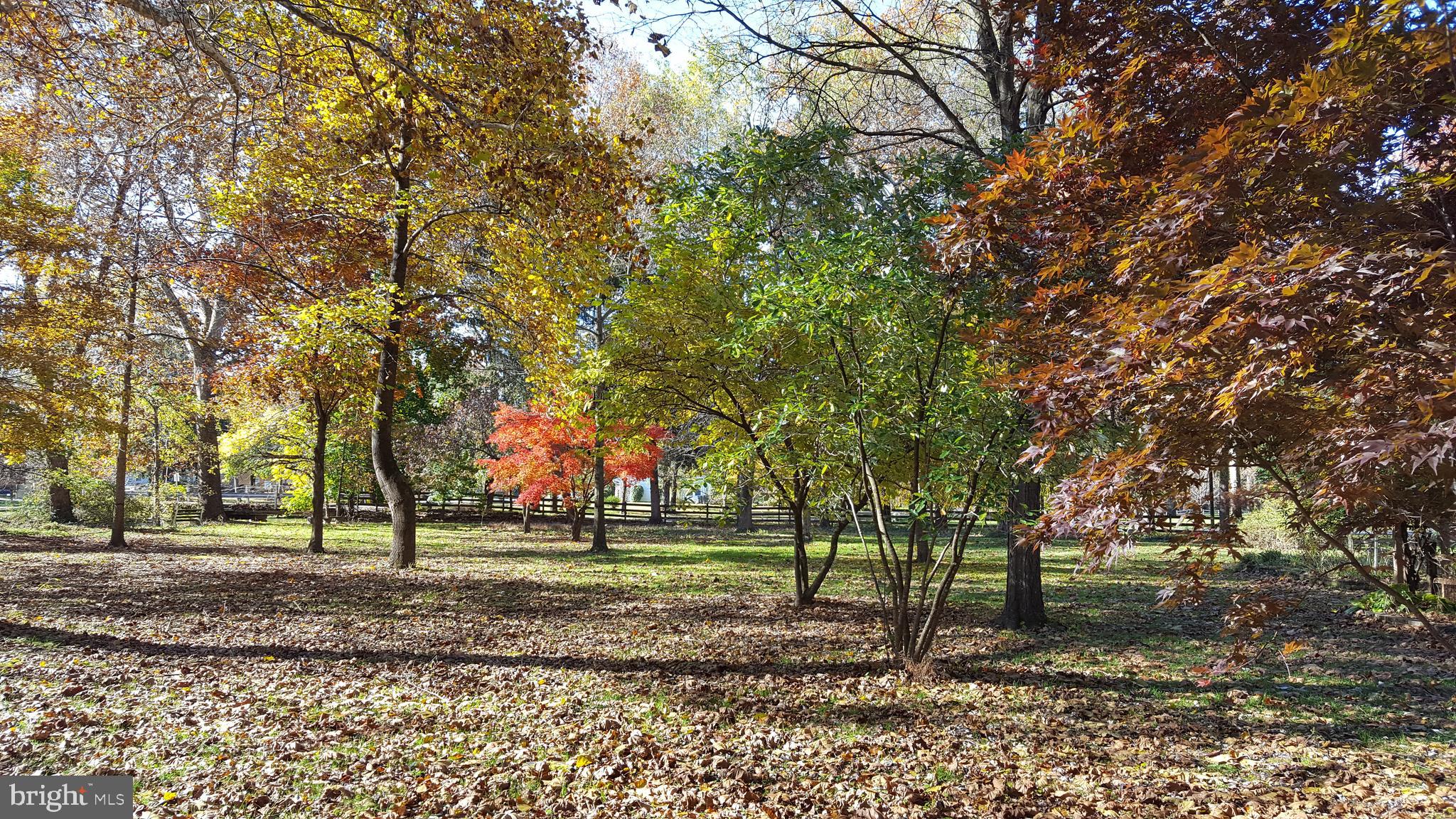 320 Pine Road Carlisle, PA 17015 - Photo 7 of 95