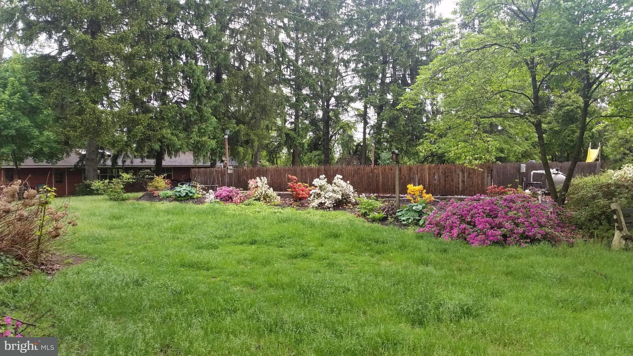 320 Pine Road Carlisle, PA 17015 - Photo 67 of 95 Flowering azaleas all around the pool area ....
