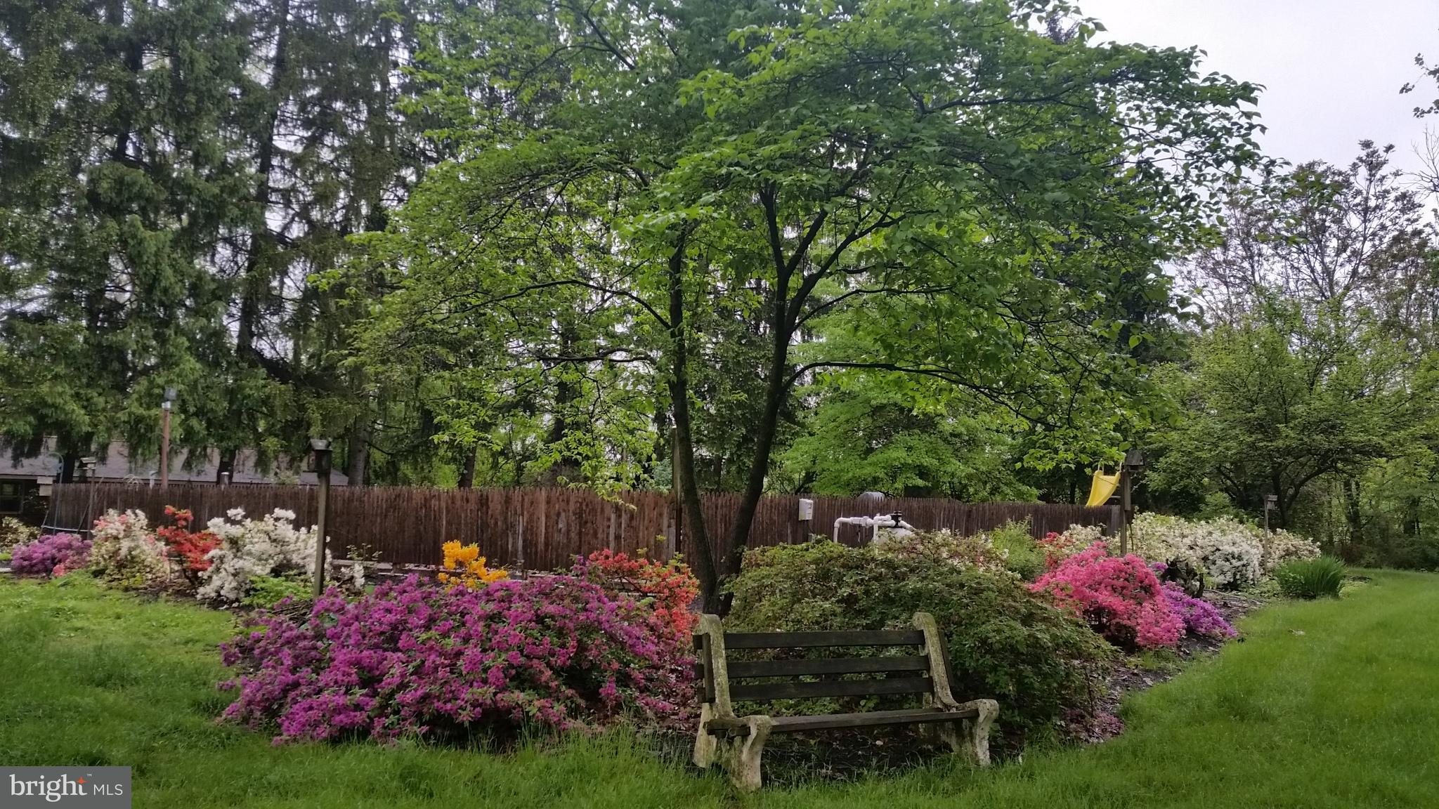 320 Pine Road Carlisle, PA 17015 - Photo 69 of 95 May is the best month to see this display!