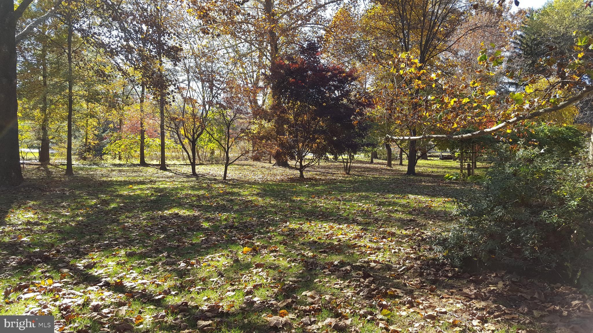 320 Pine Road Carlisle, PA 17015 - Photo 8 of 95