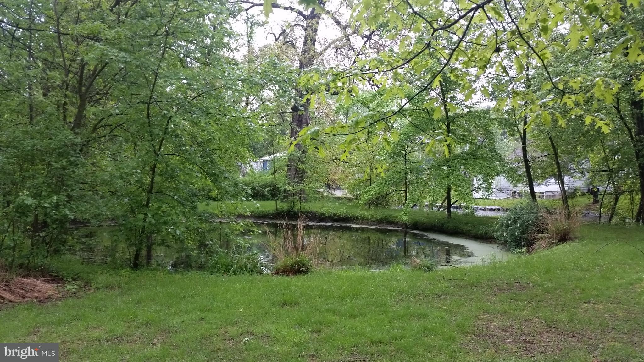 320 Pine Road Carlisle, PA 17015 - Photo 72 of 95 Pond - listen to the frogs!