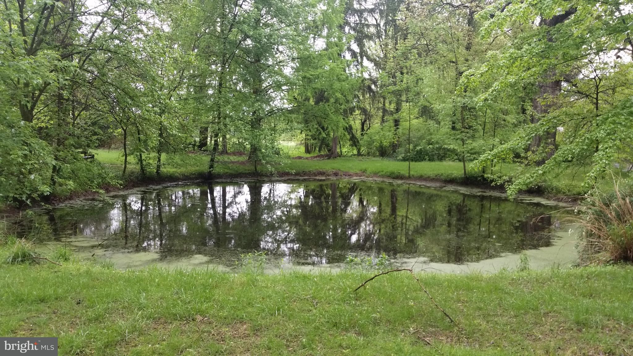 320 Pine Road Carlisle, PA 17015 - Photo 73 of 95