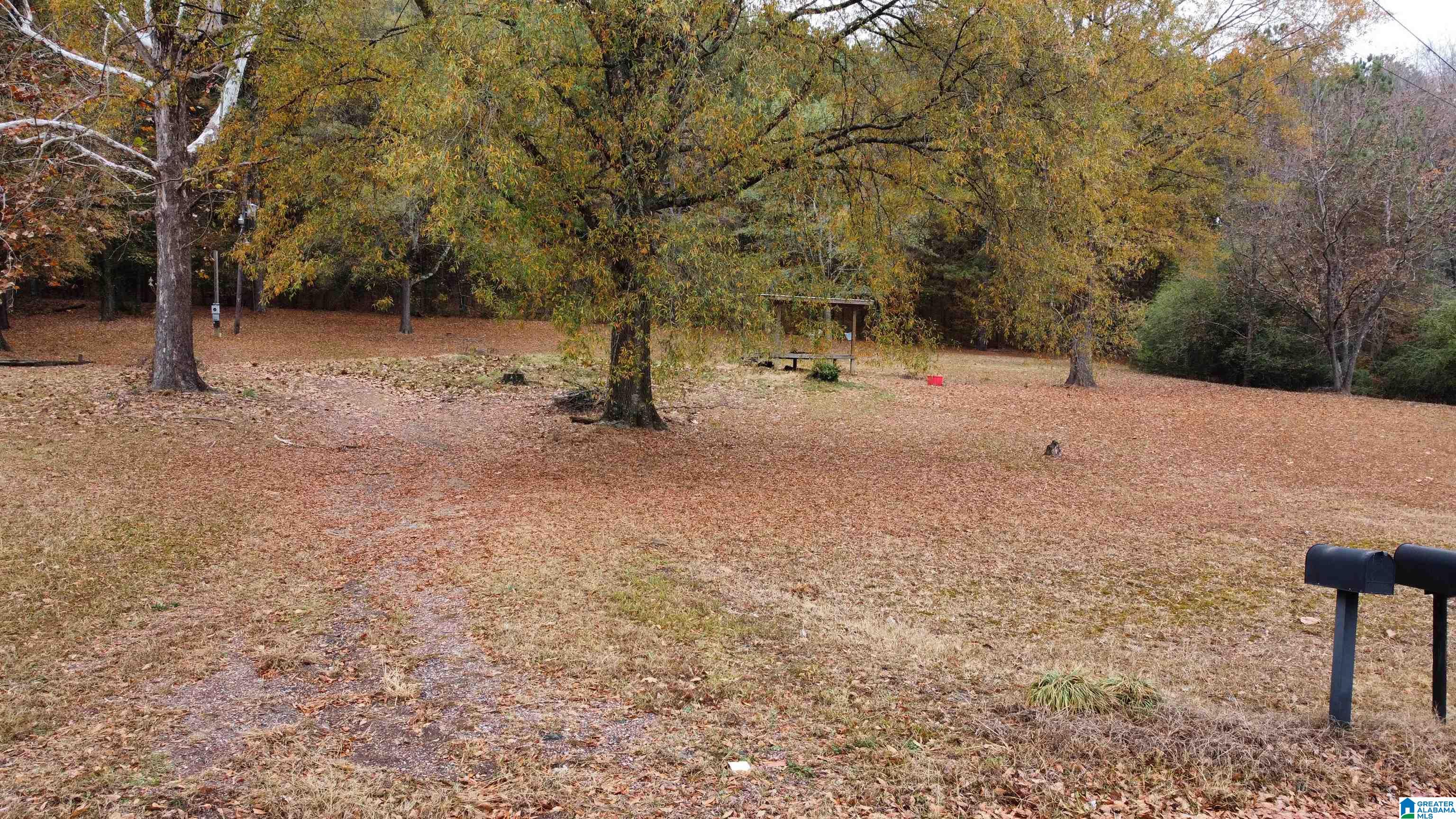 385 Jackson Street, Unit 385 Oakman, AL 35579 - Photo 16 of 19