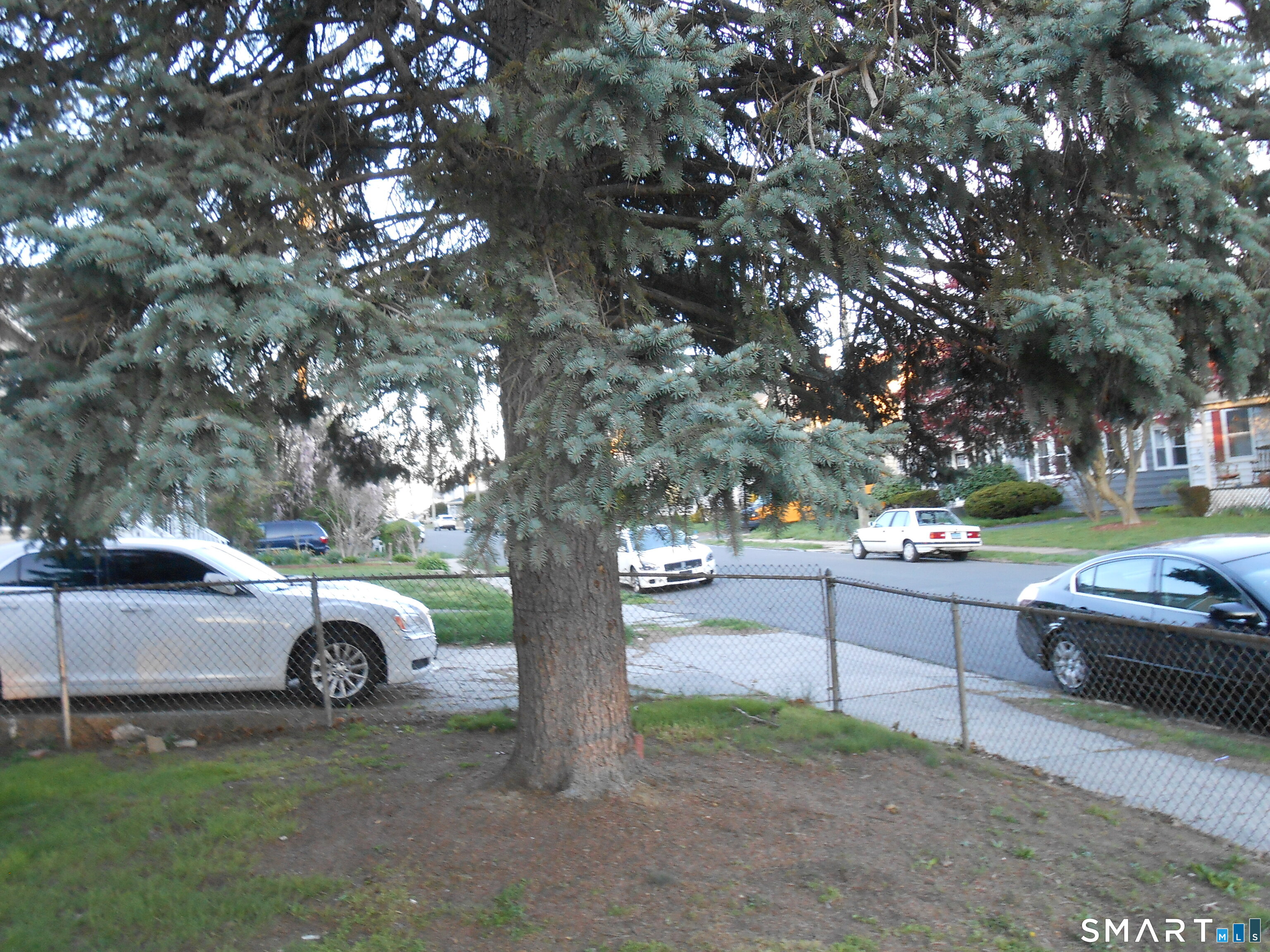 254 Wayne Street Bridgeport, CT 06606 - Photo 5 of 25 a view of a yard with car parked