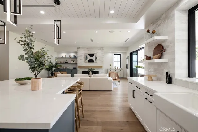a living room with furniture or kitchen view and a potted plant