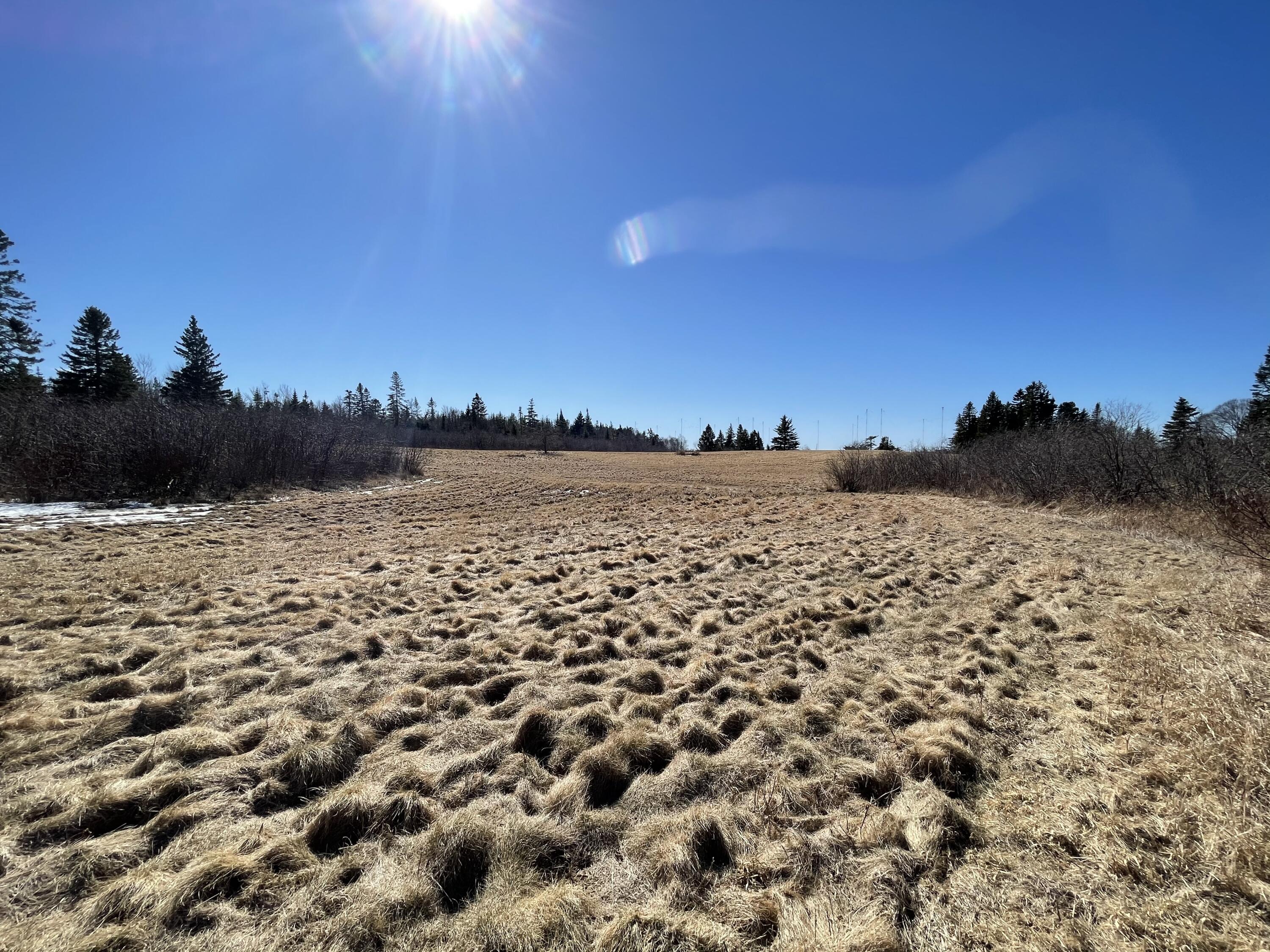 M6 L58 Cutler Road Cutler, ME 04626 - Photo 21 of 37 Photo Mar 12, 12 35 55 PM