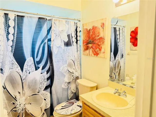 a bathroom with a sink toilet and shower curtain