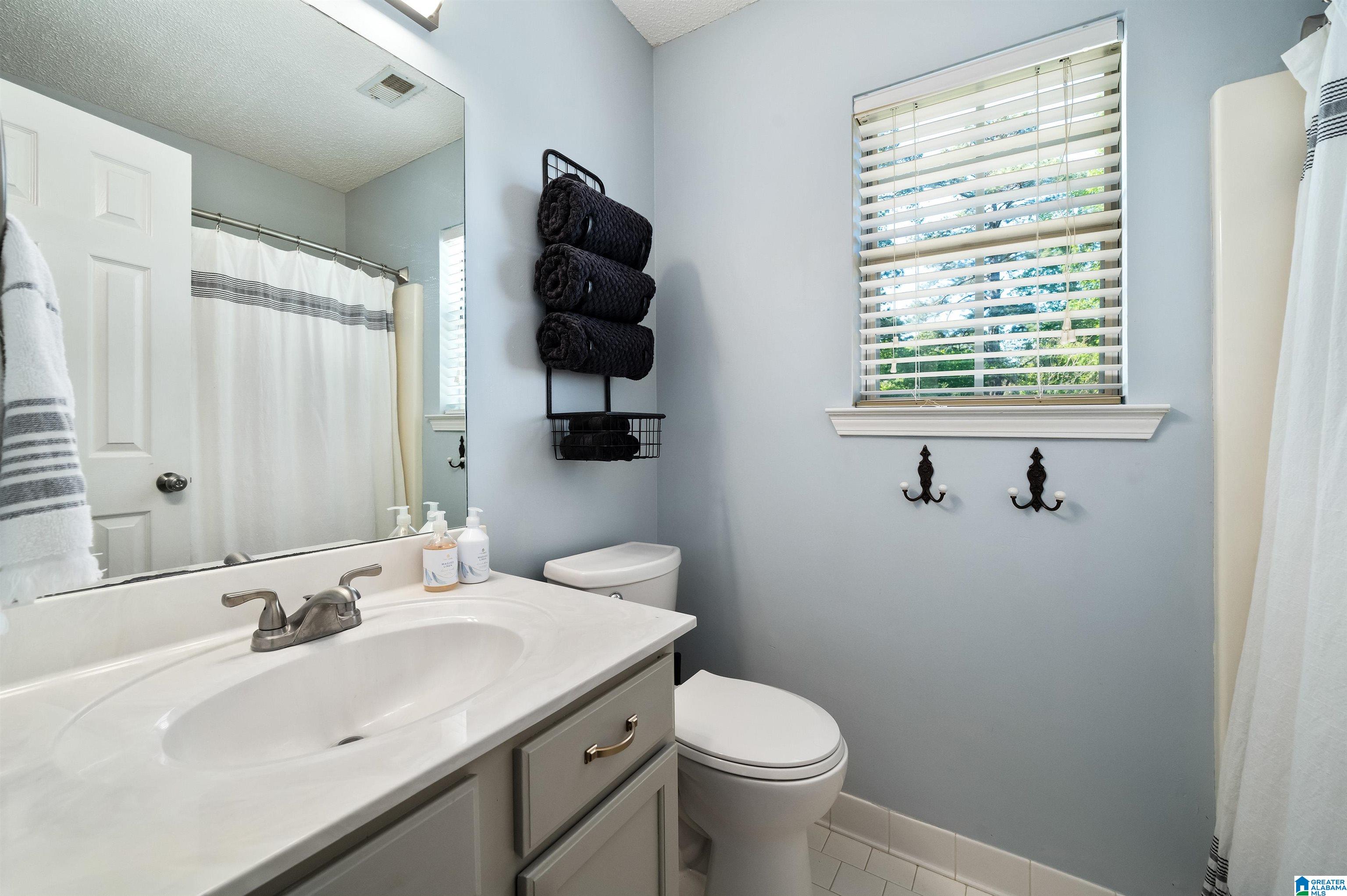 242 Chadwick Lane Helena, AL 35080 - Photo 21 of 30