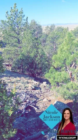 $115,000 | Tbd Tbd Trapper Trail, Guernsey, WY 82214
