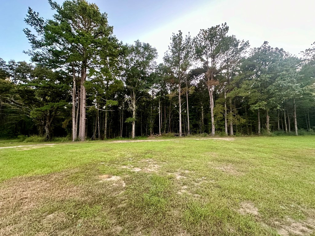 2178 Gene Road Southwest Brookhaven, MS 39601 - Photo 11 of 42 Photo 11