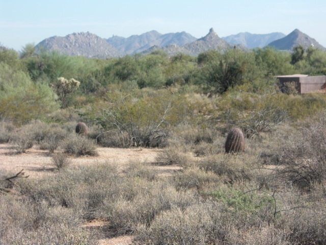 31823 East Ranch Road, Unit 10 Scottsdale, AZ 85266 - Photo 10 of 10 Views of Pinnacle Peak