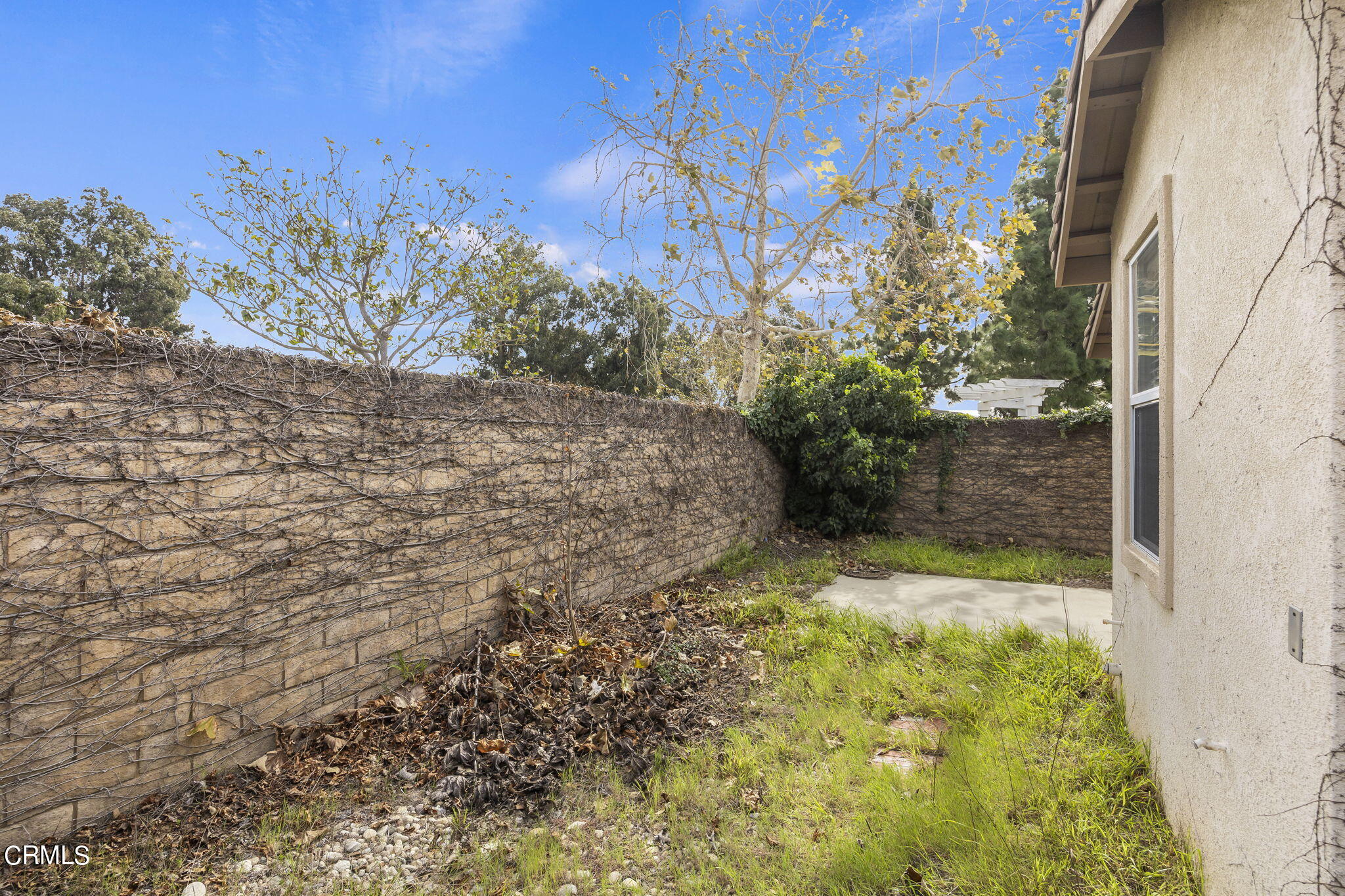 3870 Shakespeare Drive Oxnard, CA 93033 - Photo 22 of 29 a view of a yard with plants and trees
