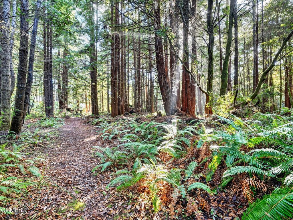 19400 Dorffi Road Fort Bragg, CA 95437 - Photo 41 of 49 58-web-or-mls-DSC06361
