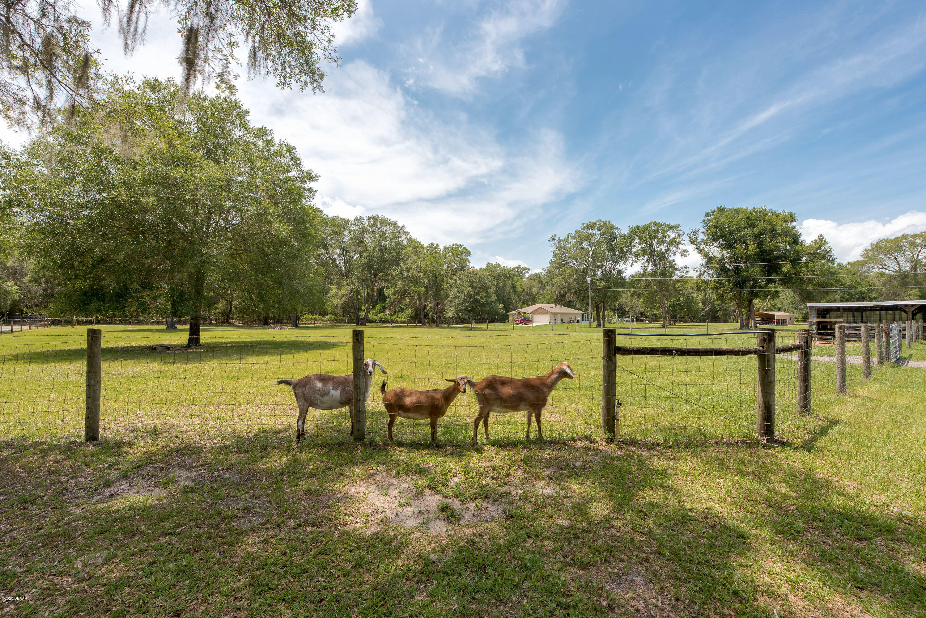 1378 Spring Garden Ranch Road De Leon Springs, FL 32130 - Photo 57 of 71 1378 Spring Garden Ranch Rd.-50