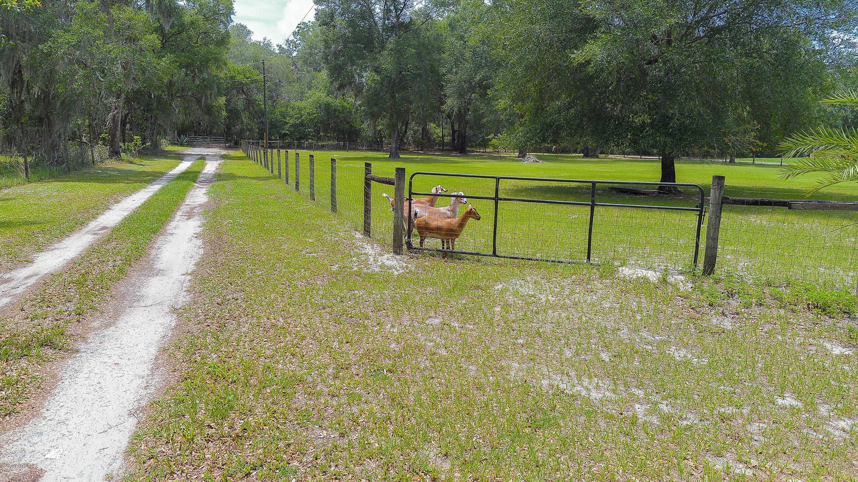 1378 Spring Garden Ranch Road De Leon Springs, FL 32130 - Photo 69 of 71 Aerials-15