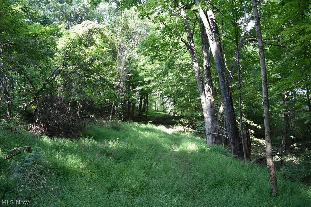 39700 Belmont Ridge Road Flushing, OH 43977 - Photo 26 of 31 Gallery Image 26