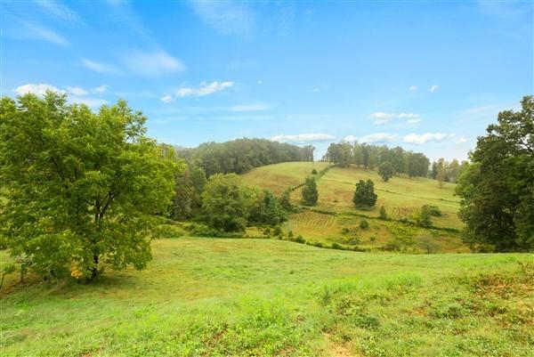 477 Central View Road Andersonville, TN 37705 - Photo 24 of 35 477CentralViewRd-48 - Copy - Copy