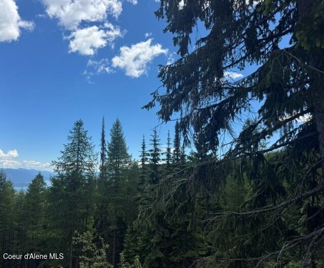 Nna Tall Timber Road Sandpoint, ID 83864 - Photo 3 of 10 6