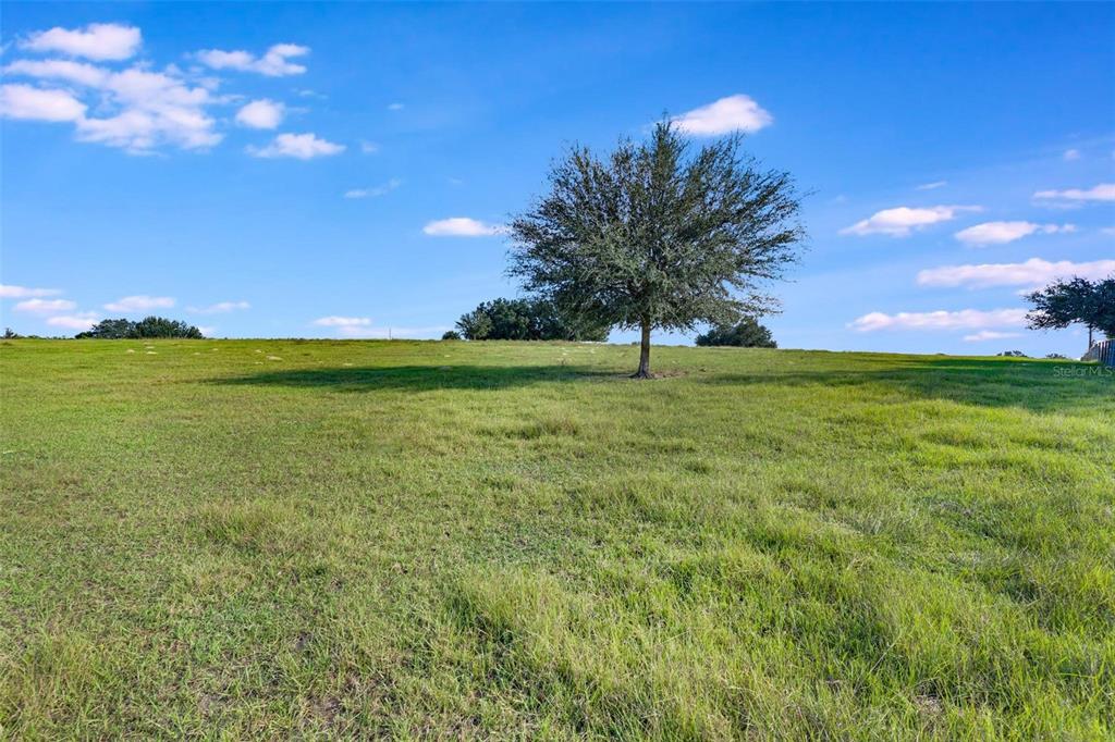 Tbd Southeast 156th Place Road Weirsdale, FL 32195 - Photo 1 of 13